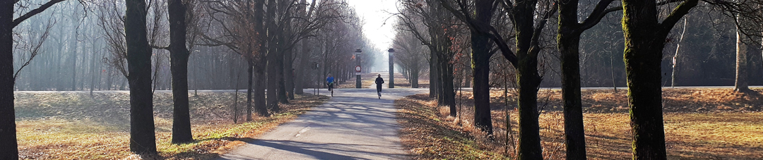 Runners nel Parco di Monza (foto BG per sport&impianti).