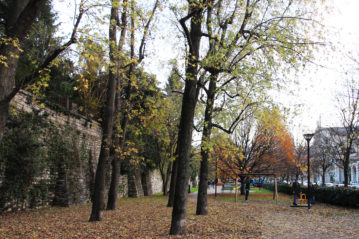 parco inclusivo in linea a Como - Viale Varese - Legnolandia - sporteimpianti.it