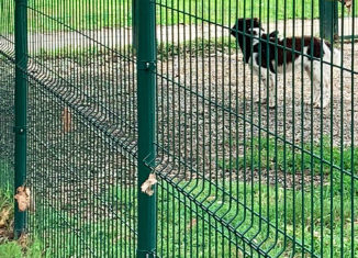 plastifil cani brescia