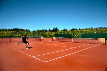 Viganò Pavitex - superfici per tennis, pavimentazioni sportive indoor/outdoor in resine sintetiche, terra sintetica, pavimenti tessili
